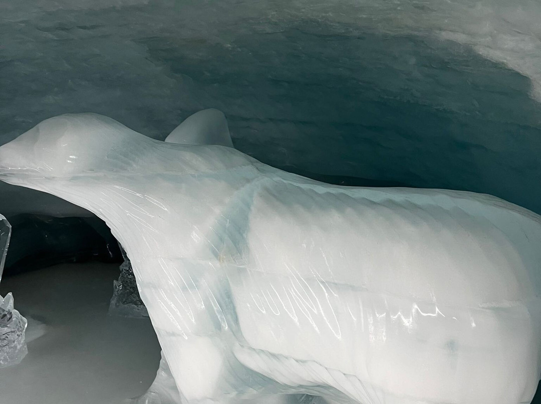 Ice Palace - Jungfraujoch-Jungfraujoch必去景点