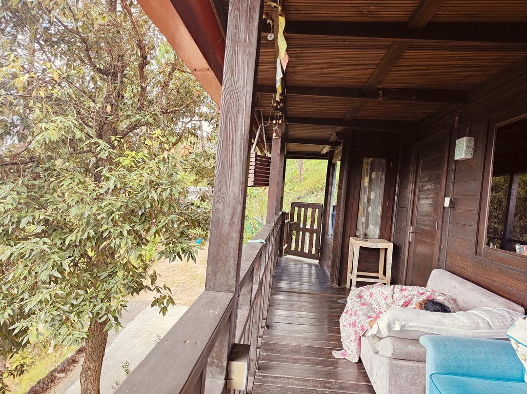 Sukoon Nature Retreat主图