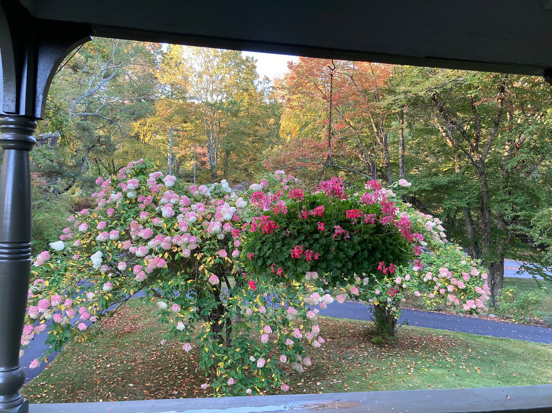 Rosehaven Inn Bed and Breakfast主图