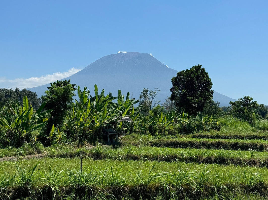 Sana Bali Guide And Tour-吉安雅必去景点
