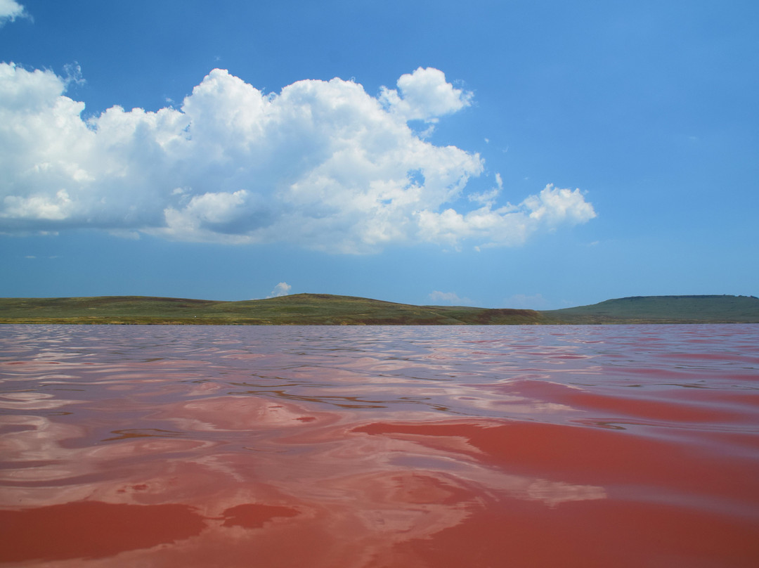 Opukskiy Nature Reserve景点图片