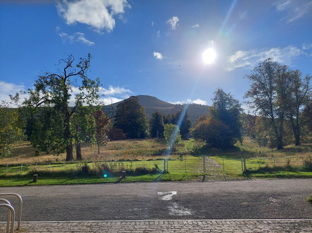 Falkland Estate景点图片