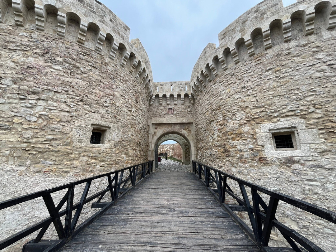 Kalemegdan Park and Belgrade Fortress景点图片