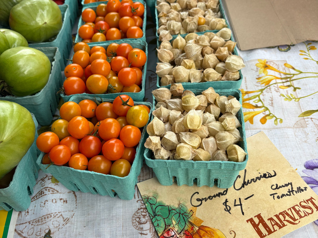 Spa City Farmers' Market-萨拉托加温泉必去景点