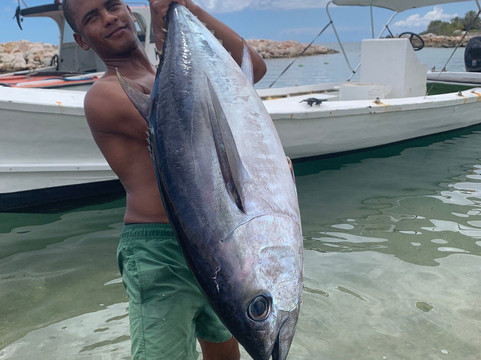 Oceano-威廉斯塔德必去景点