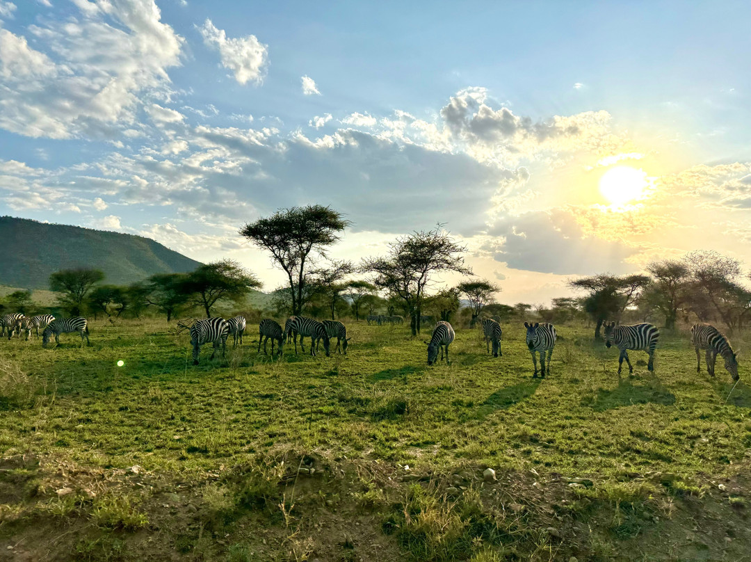 Kilimanjaro Vikings Adventures景点图片