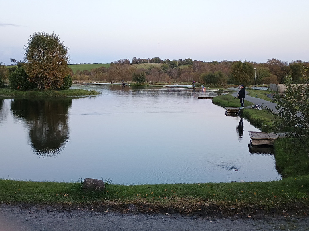 Birchwood Fishery-Drumquin必去景点