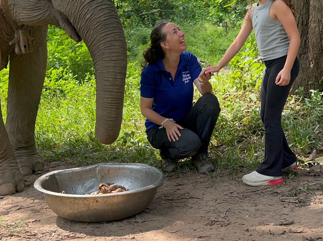 Mekong Elephant Park景点图片