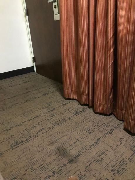 商业街贝斯特韦斯特优质套房酒店-官方
