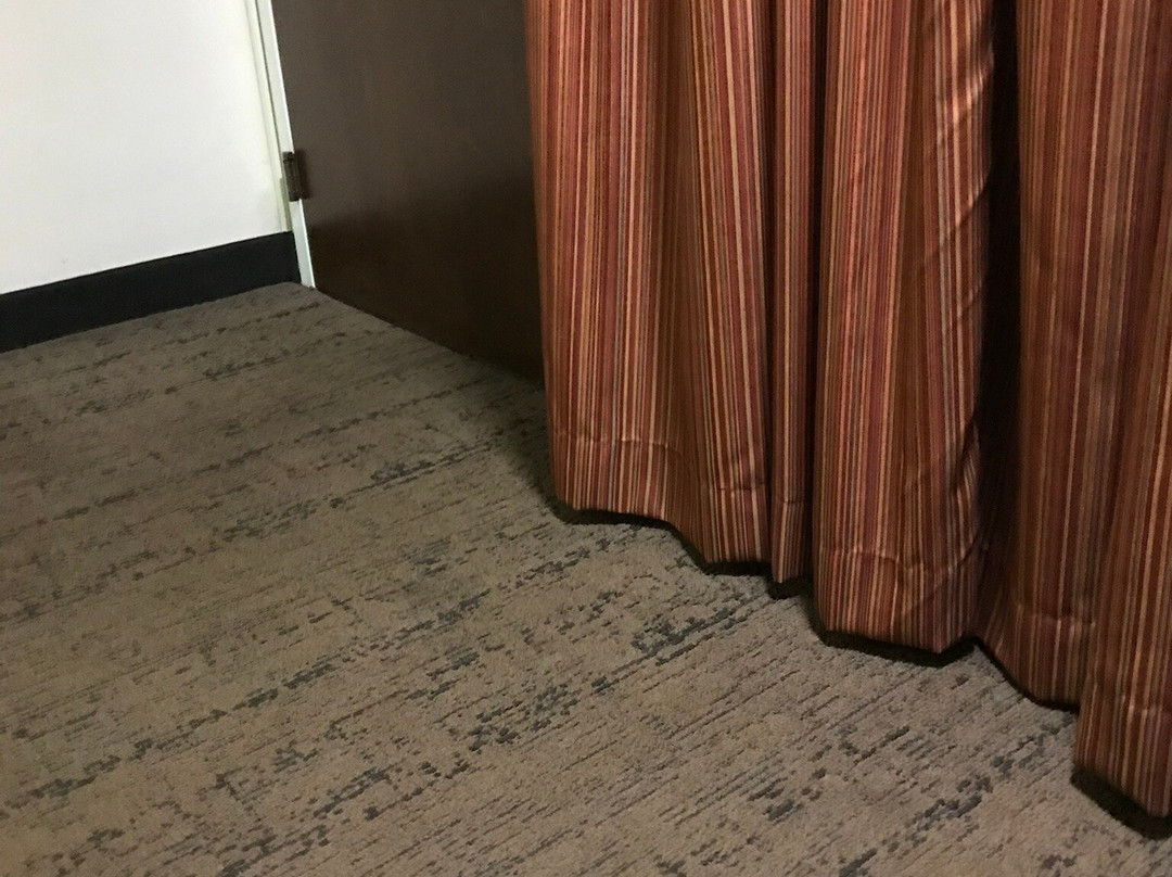 贝斯特韦斯特普勒斯商业街廊旅馆&套房酒店主图