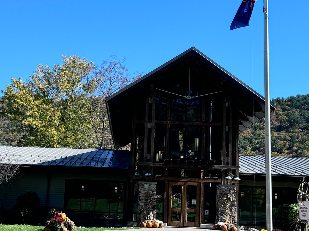 Sinnemahoning State Park景点图片