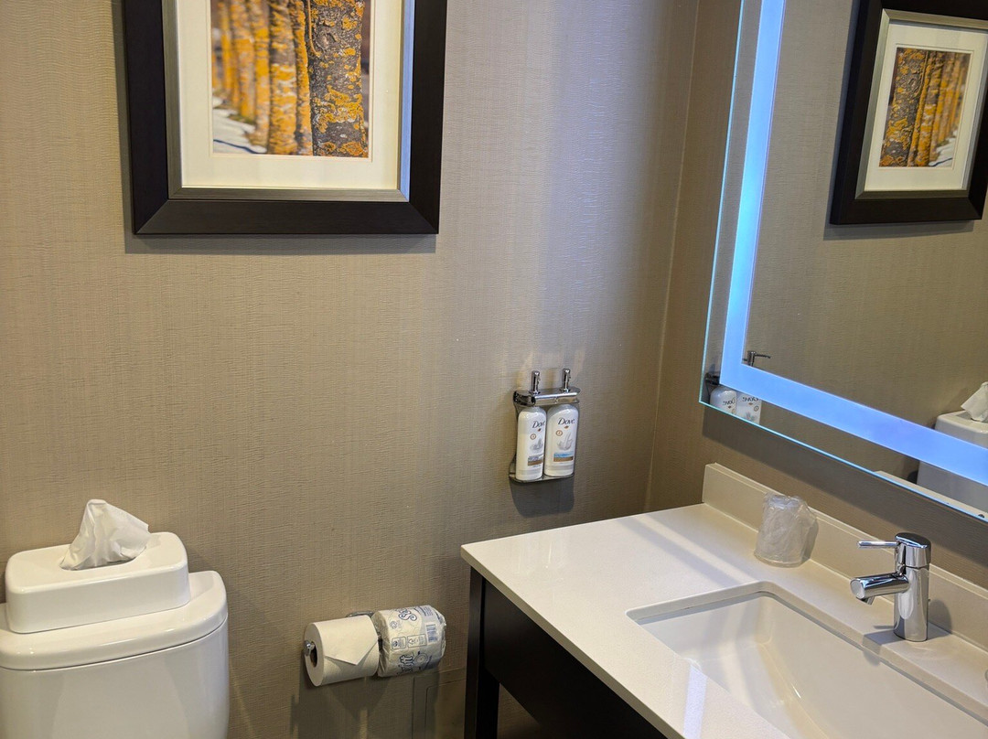 Holiday Inn Sudbury By IHG主图