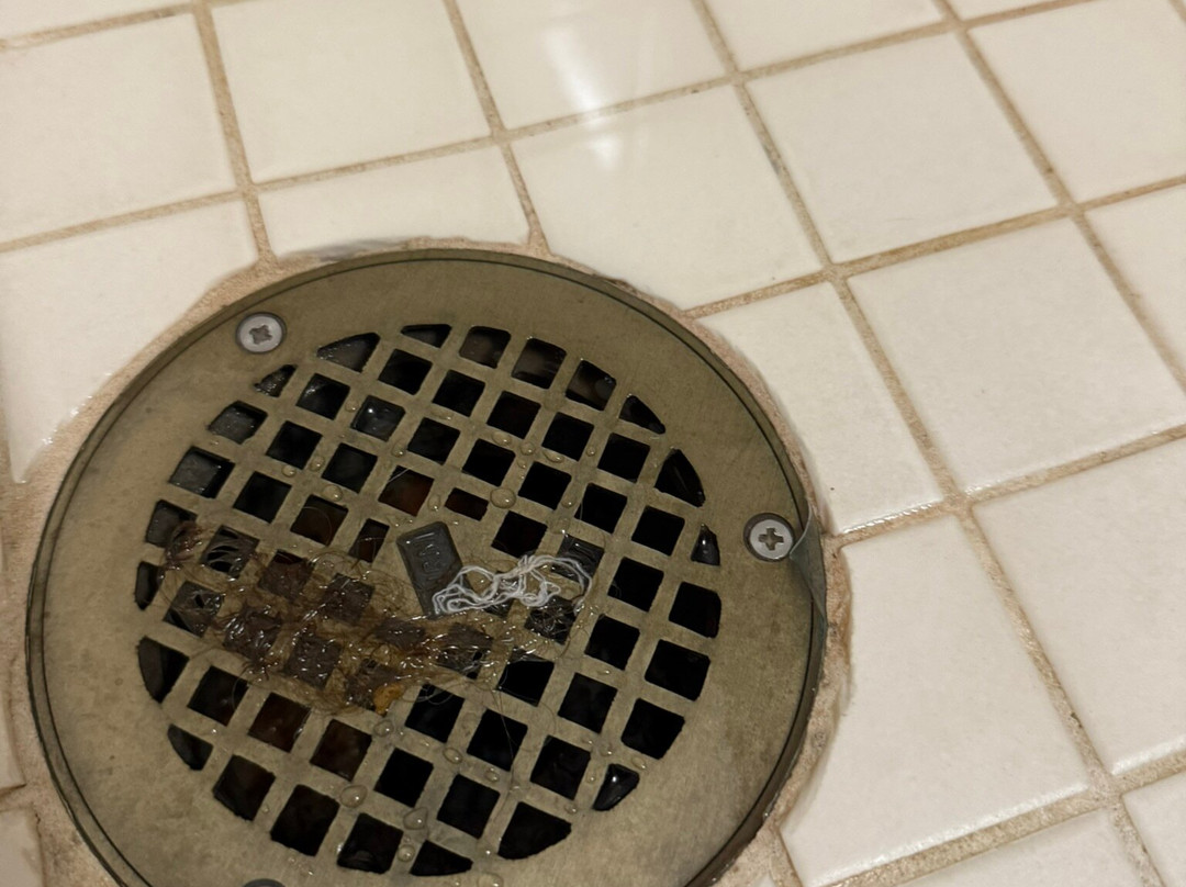 Wingate by Wyndham Bentonville Airport主图