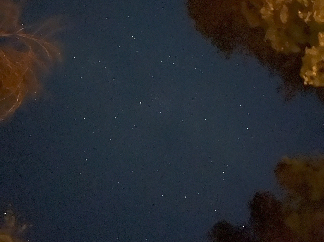 约塞米蒂国家公园营地主图