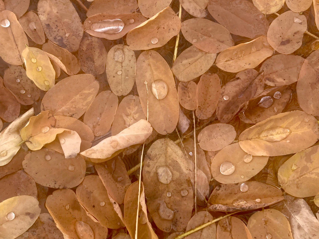 Posada los Templarios主图