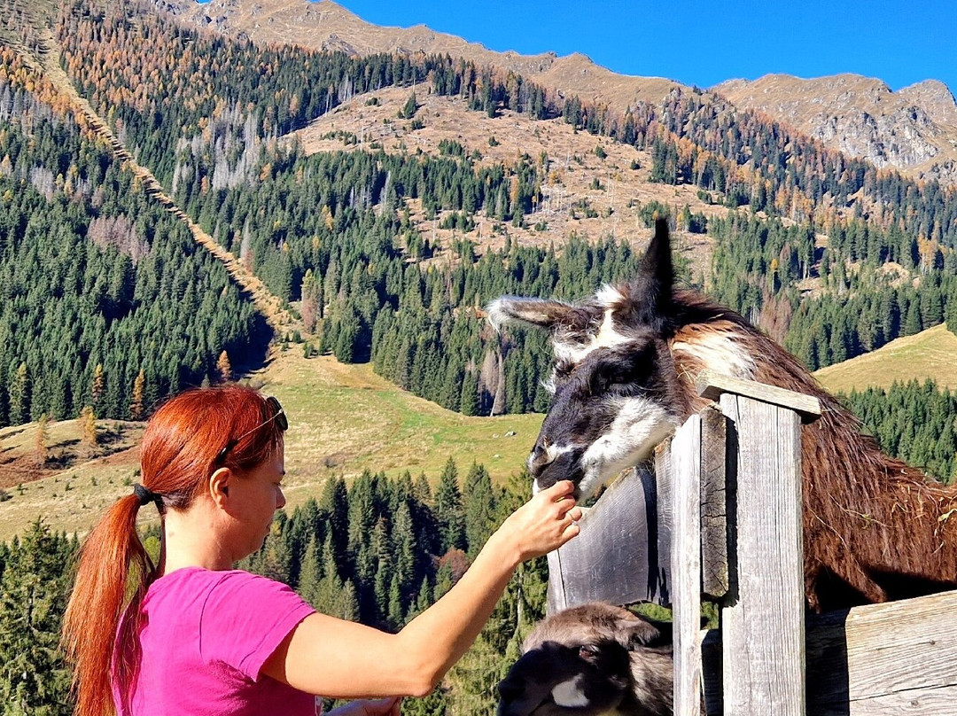 Chalet nel Doch主图