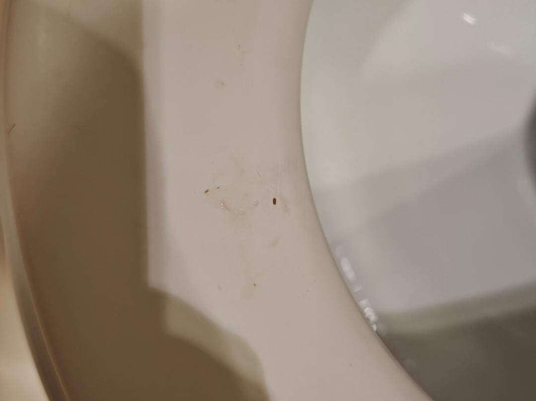 Motel Los Penascales主图