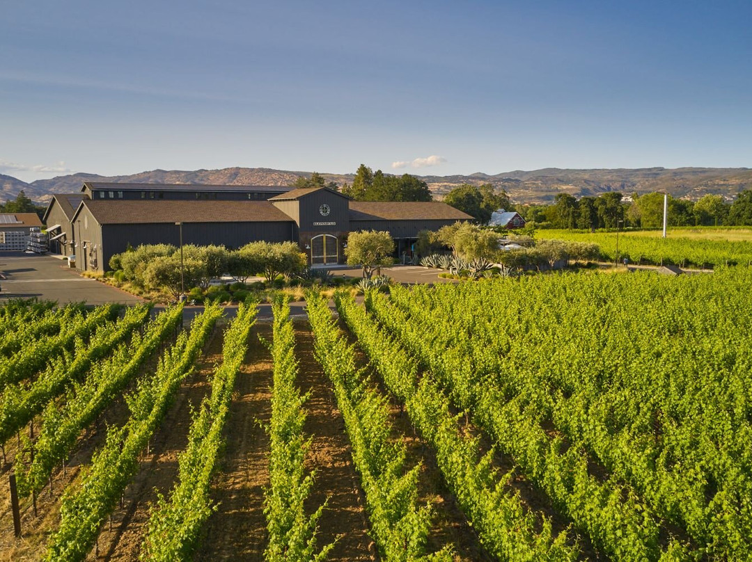 Eleven Eleven Winery