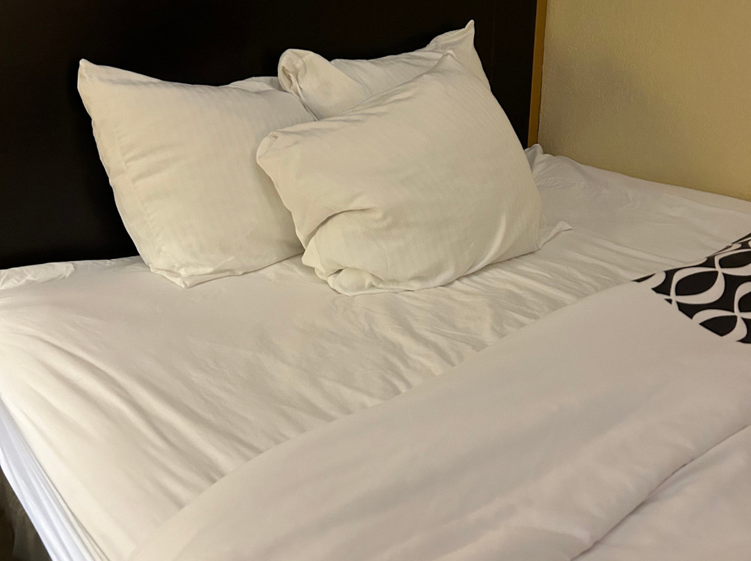 La Quinta Inn & Suites by Wyndham Slidell - North Shore Area主图