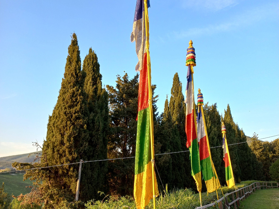 Istituto Lama Tzong Khapa景点图片