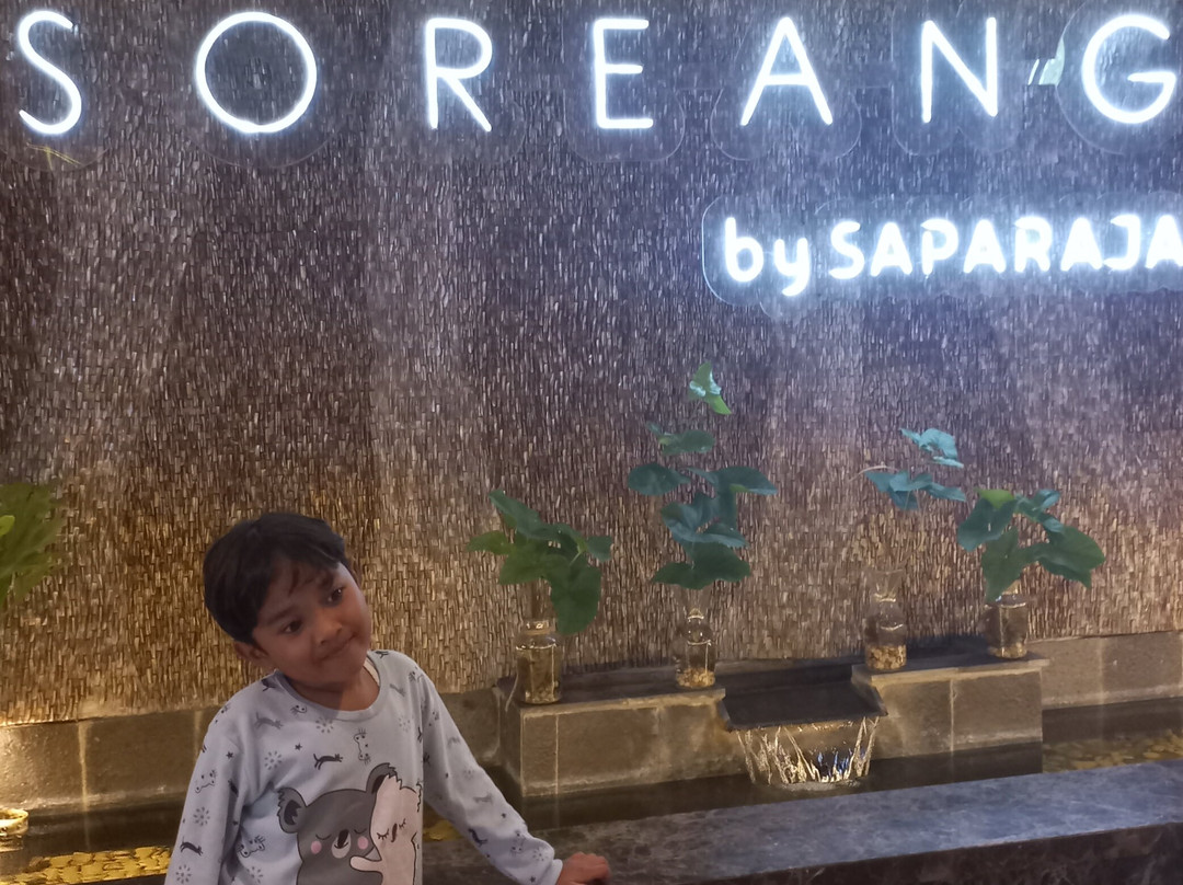 Sutan Raja Hotel & Convention Centre Soreang-Bandung主图