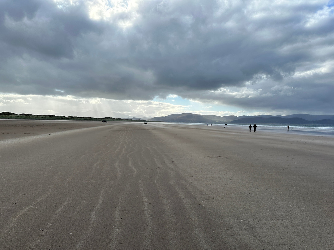 Guided Tours With Mary G-基拉尼必去景点