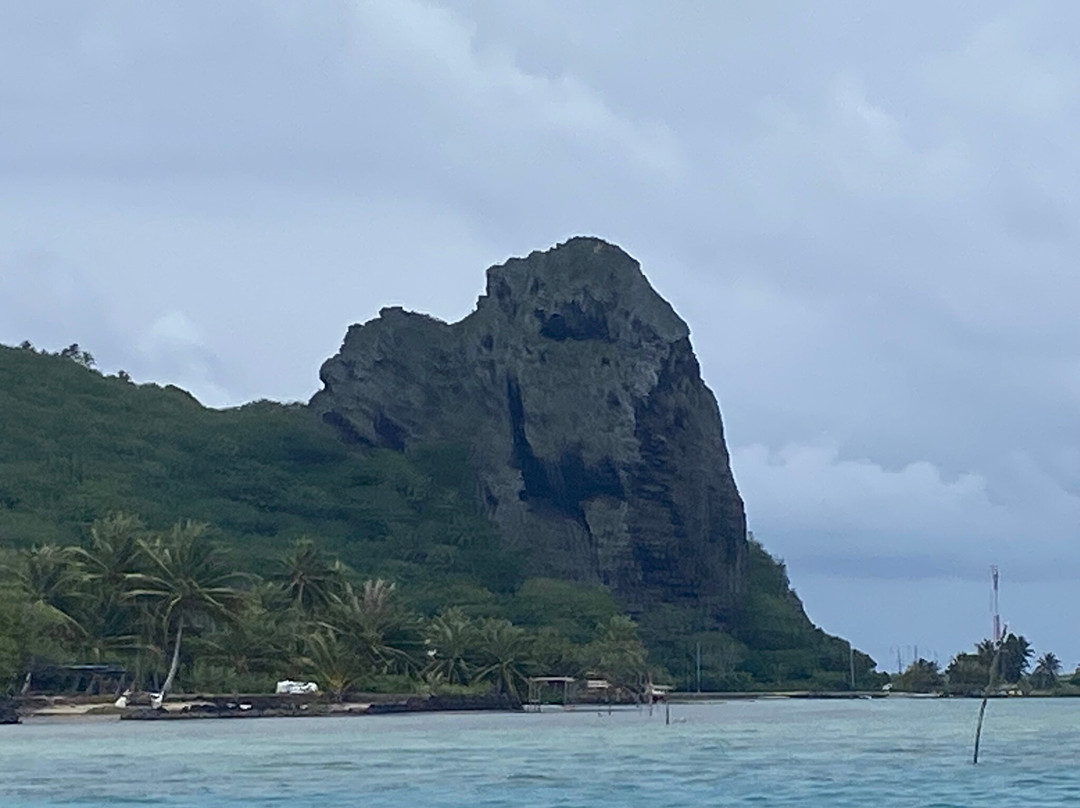 Skull Head Rock景点图片