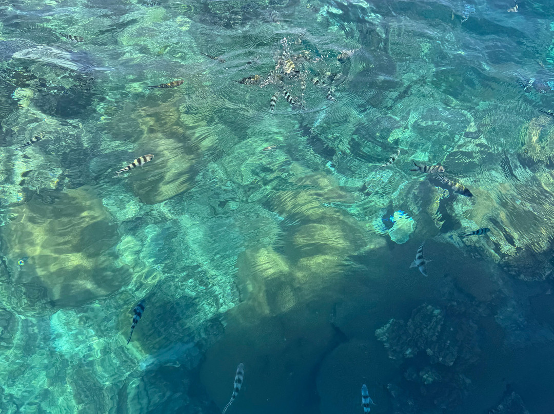 Hauraki Adventures Fiji-Viseisei必去景点