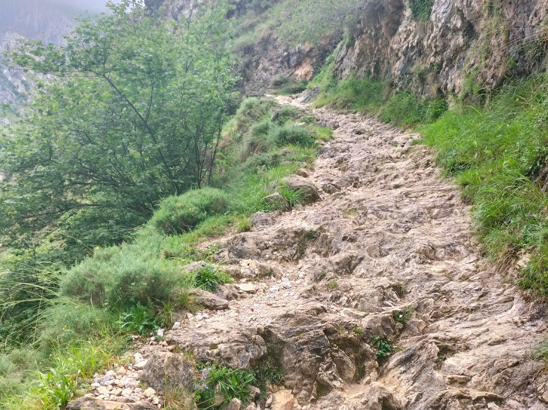 Funicular de Bulnes景点图片