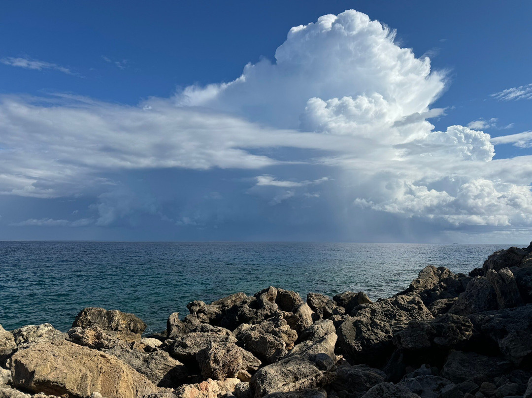 Cape Apostolos Andreas-Dipkarpaz必去景点