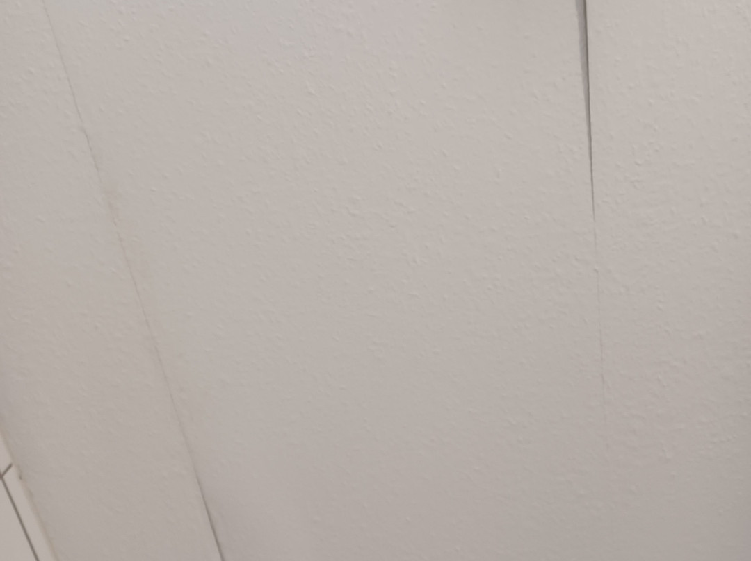 Meister Bär Hotel主图