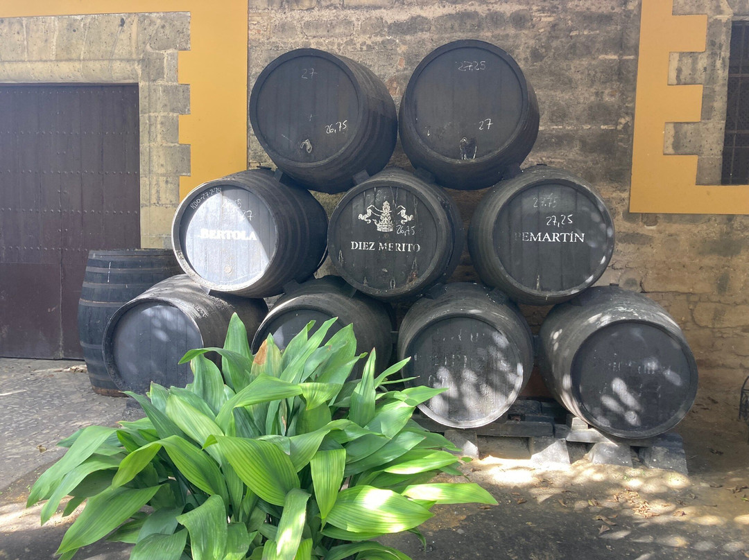 Bodegas y viñedos Díez Mérito-赫雷斯德拉弗隆特拉必去景点