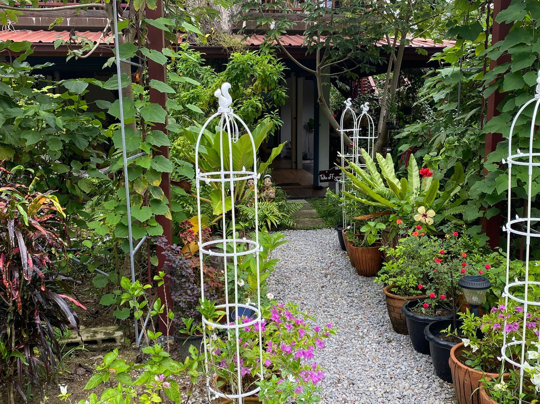 The Garden