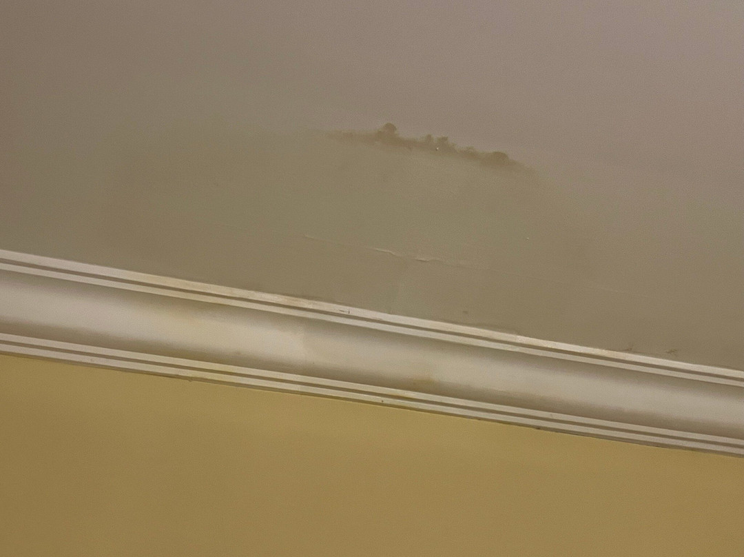 达兰希尔顿逸林酒店主图