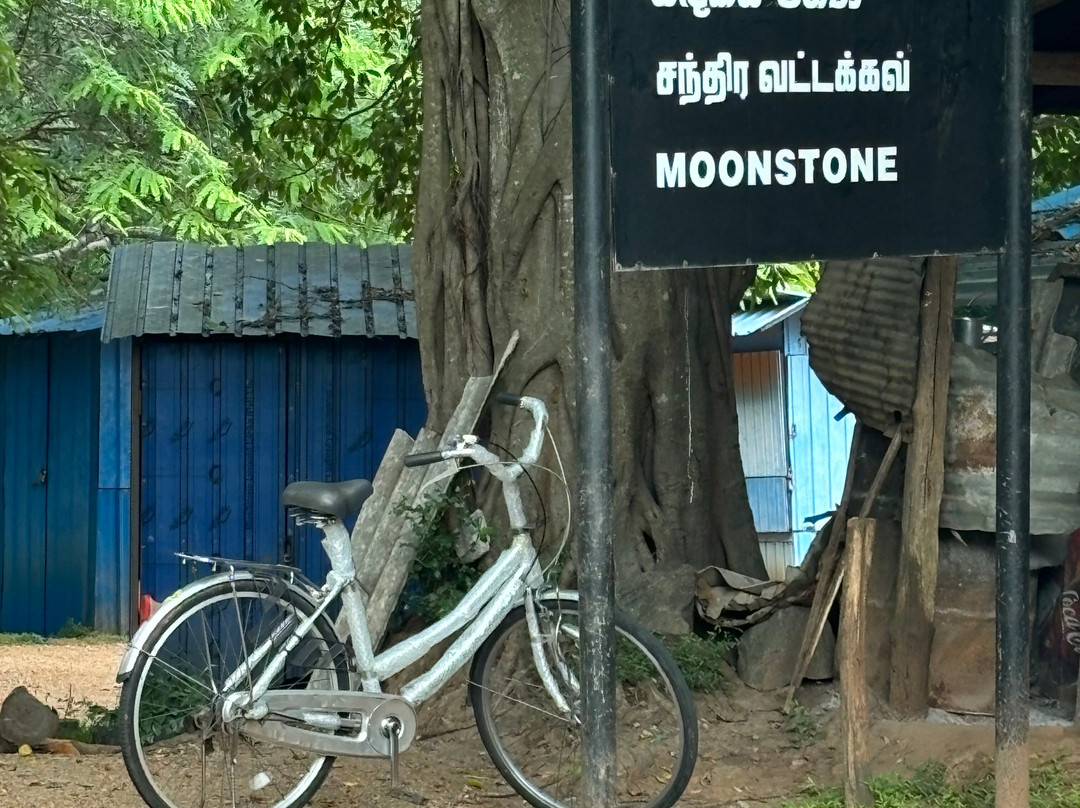 sun cycles work shop and hire-阿努拉德普勒圣城必去景点