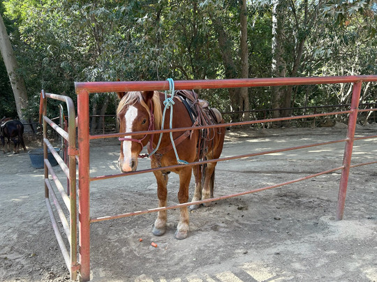 Circle Bar B Guest Ranch & Stables-戈利塔必去景点