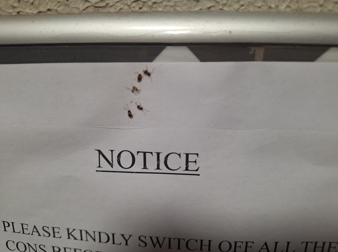 Elixir Motel Apartments主图