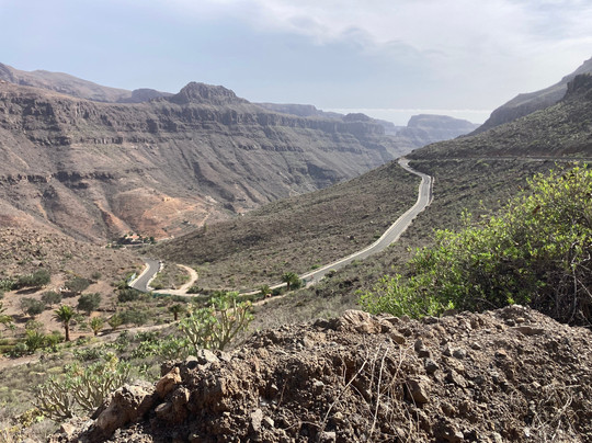 Free Motion Bikecenter - Meloneras-大加纳利必去景点