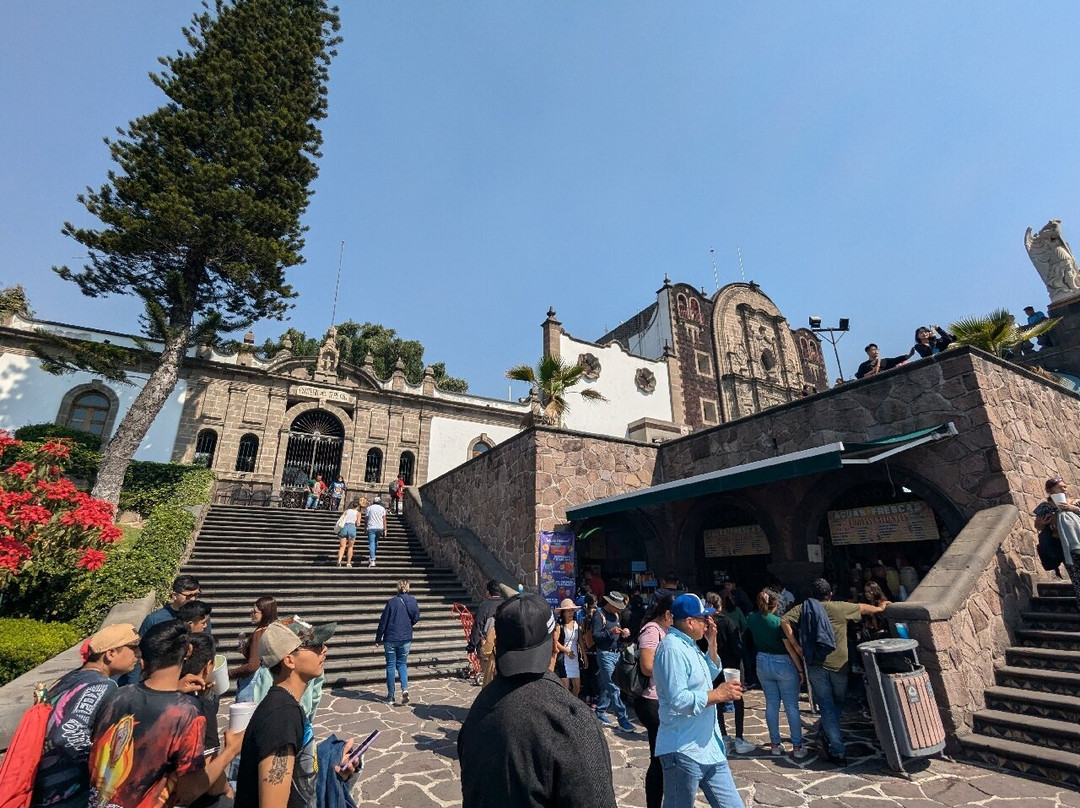Pies descalzos-墨西哥城必去景点