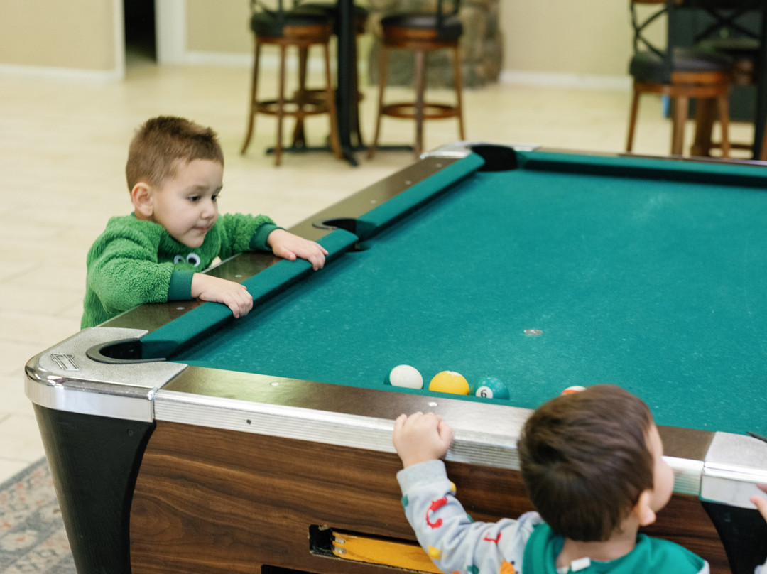 雪松小屋酒店主图