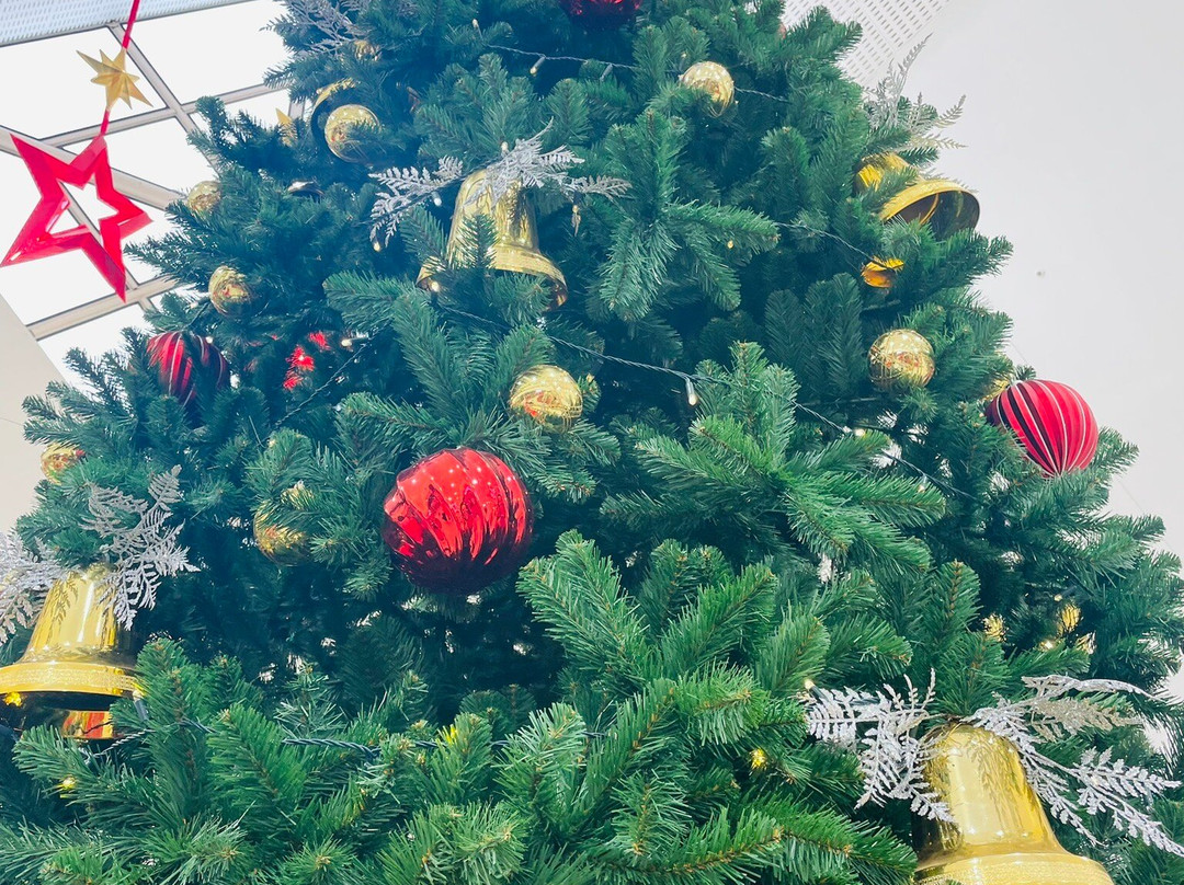 Gippsland Centre-塞尔必去景点