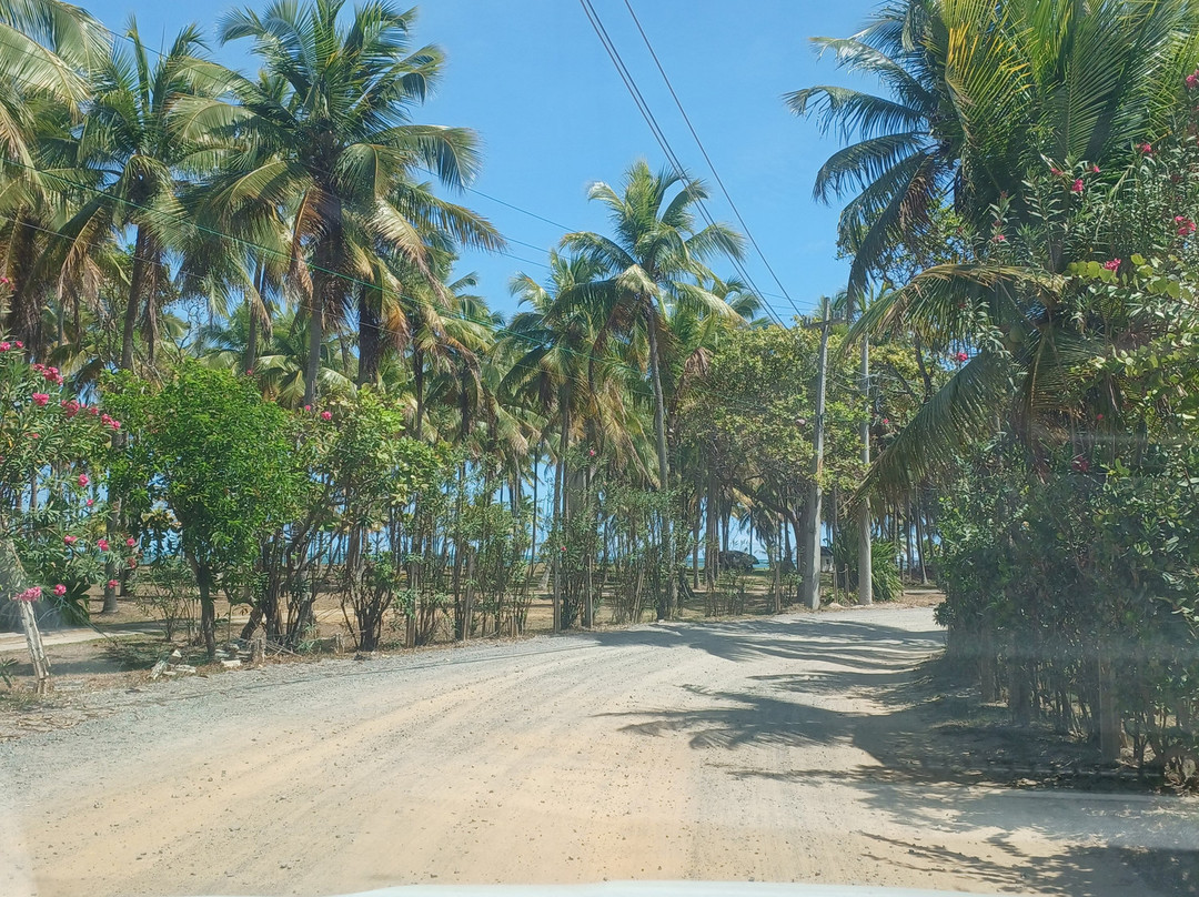 Toquinho Beach-嘎林海斯港必去景点
