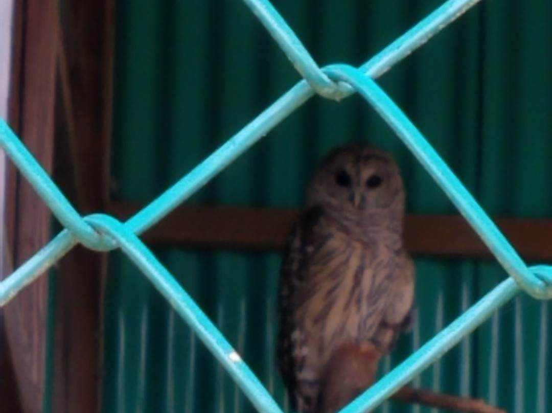 Maine Wildlife Park景点图片