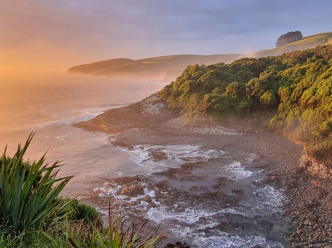 Catlins Tours景点图片