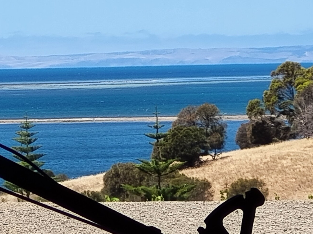 Bay of Shoals Winery-金斯科特必去景点