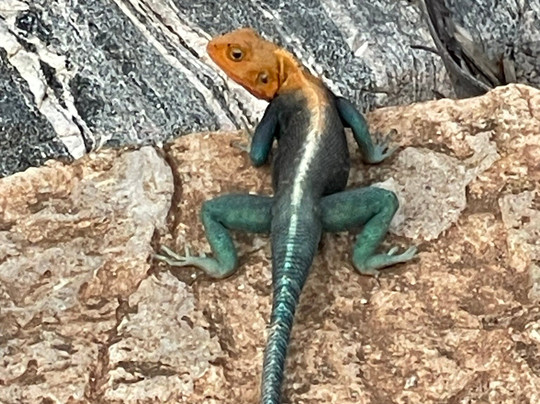 Travel Solutions Kenya-瓦塔木必去景点