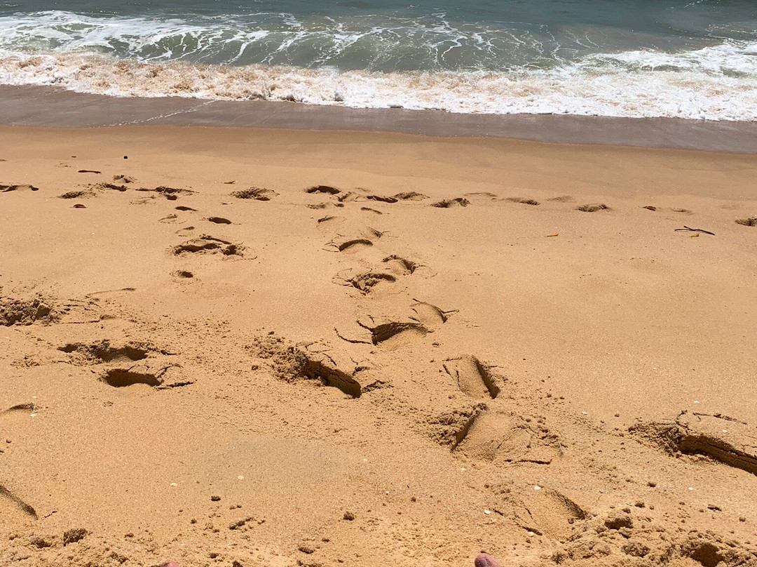 Praia em Caraíva景点图片