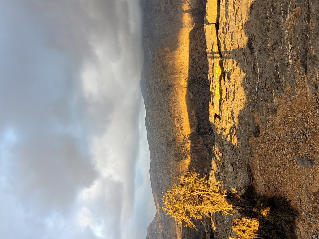 Oman Taxi Pro景点图片