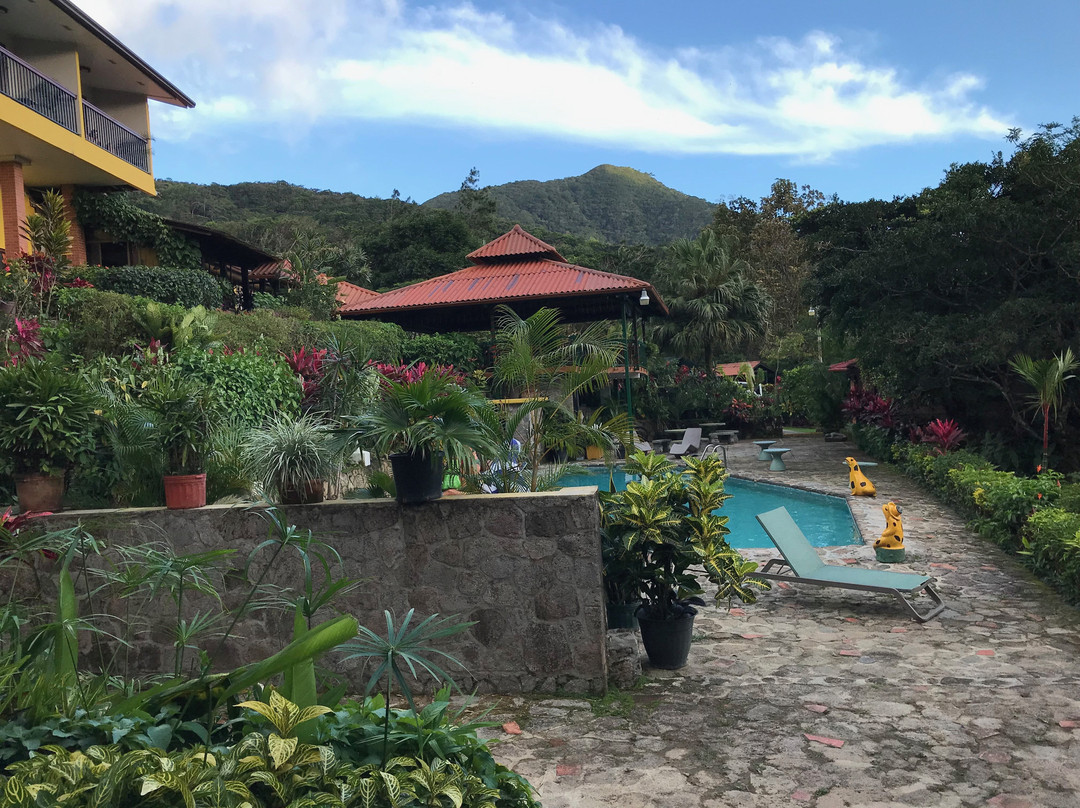 The Golden Frog Inn主图