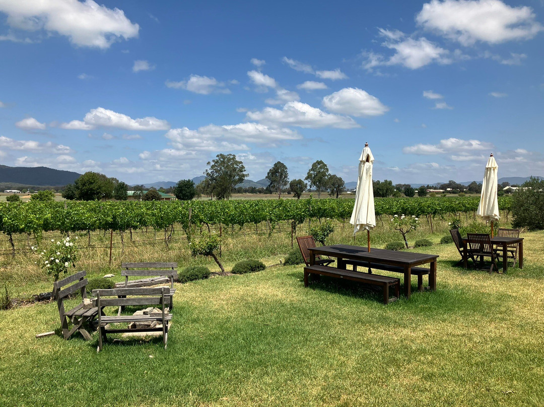 Vinifera Wines-马奇必去景点